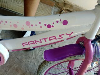 Bicicleta