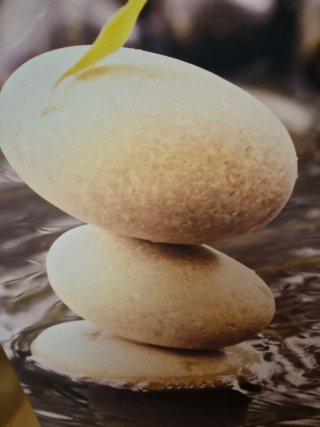 Cuadro Zen Bambú y Piedras