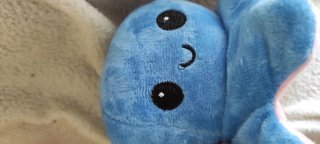 Peluches Pulpo Reversible 1x3€ 2x5€ 4x9€ educativo