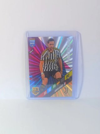 Cromo Panini FIFA 365 24 magician