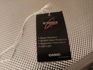 Casio G-Shock DW-5600RW-1ER