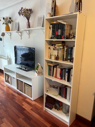 MUEBLE SALON Y ESTANTERIA