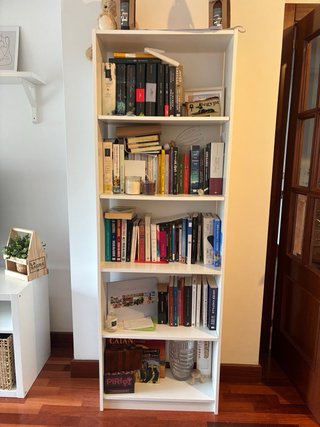 MUEBLE SALON Y ESTANTERIA
