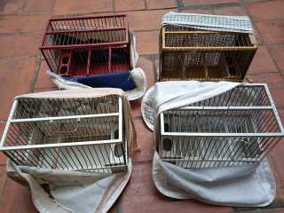 4 Jaulas para pájaros 10€