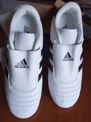 Zapatillas Adidas Taekwondo