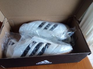 Zapatillas Adidas Taekwondo
