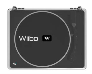 Giradischi Wiibo Lyra 200 USB MP3