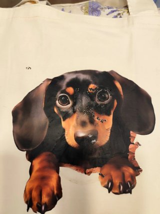 Bolsa Tote Bag Perro Dachshund Tekel