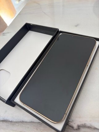 iPhone 13 Pro Max Oro Quasi Nuovo