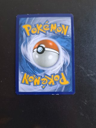 Magikarp & Wailord GX ALLEATI Pokémon