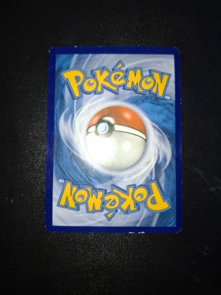Magikarp & Wailord GX ALLEATI Pokémon