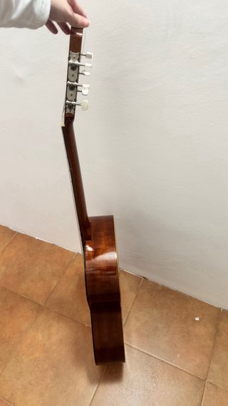 Guitarra Paloma-Admira de iniciación