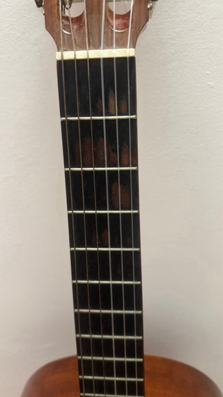 Guitarra Paloma-Admira de iniciación