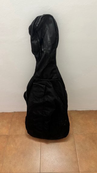 Guitarra Paloma-Admira de iniciación
