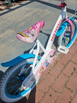 Bicicleta Paw Patrol 16 pollici di Sky e Everest