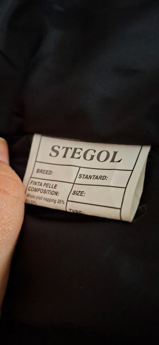 Chaqueta motera Stegol Negra Talla M