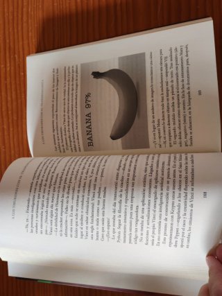 Libro Mara Turing Los archivos perdidos de Falko