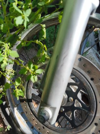 Suspensión Delantera Kymco Zing