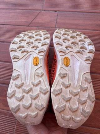 Saucony Peregrine 16