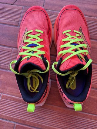 Saucony Peregrine 16