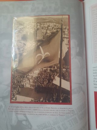 Francobolli Cronisti della Storia Trieste 1947-195