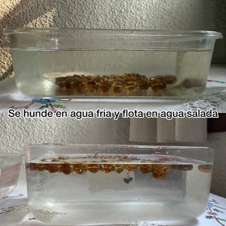 Collar de Ámbar con colgante