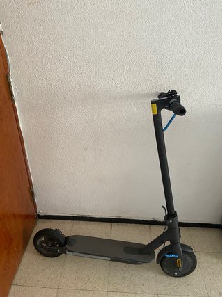 Patinete Eléctrico Xiaomi
