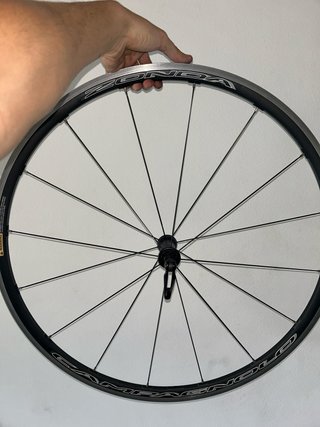 Llanta Campagnolo Zonda Rota Llanta Bici Carretera