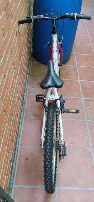 Bicicleta 24 pulgadas