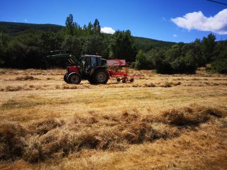 Rastrillo Hilerador Kuhn 4321
