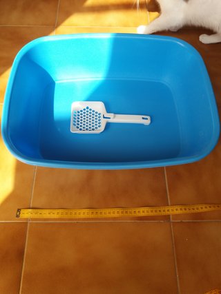 Lettiera per gatti blu con paletta