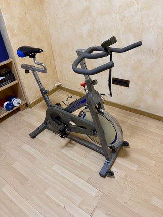 Bicicleta de Spinning Gris