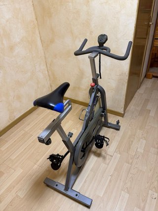 Bicicleta de Spinning Gris
