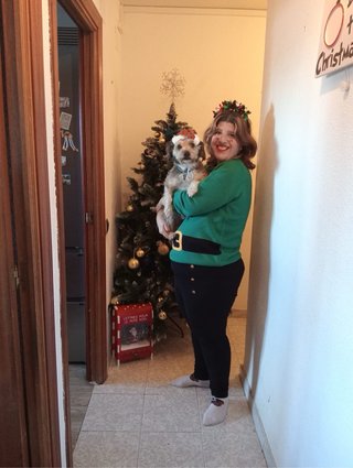 Cuido perros en casa. Coslada y San Fernando