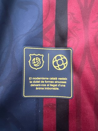 Camiseta FC Barcelona Rayas Azul/Rojo