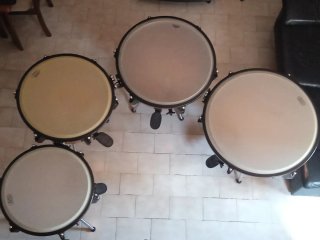 Timbales Adams Universal 32/29/26/23 con fundas