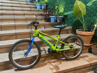 Bicicleta Infantil B-PRO 20 Verde/Blu