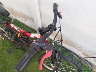 Bicicleta de Montaña 20 Roja
