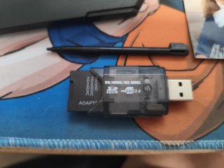 Nintendo DS Lite Negra