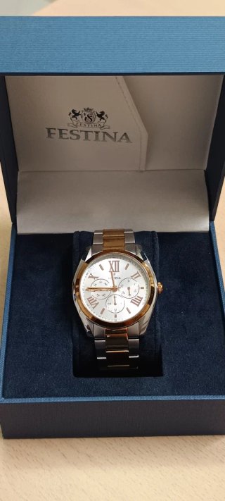 Reloj Festina Caballero Acero y Oro
