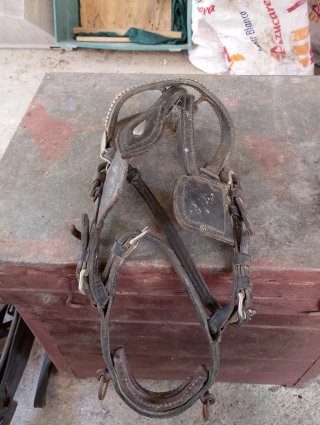Aparejo de caballo para carro