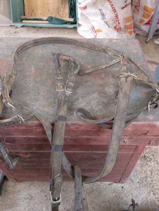 Aparejo de caballo para carro