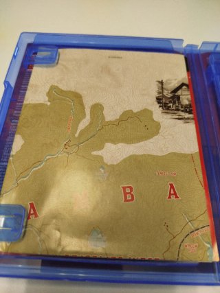 Red Dead Redemption II PS4