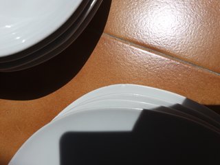 piatti fiorucci 4+4 pezzi + 1 tognana
