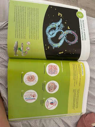 Libro biologia primero bachillerato
