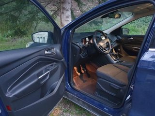 el coche tiene problemas de motor saca humo blanco