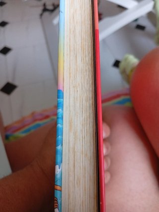Dos libros de piratas