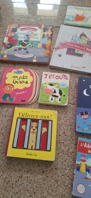 Lote de libros en francés