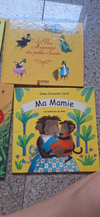 Lote de libros en francés