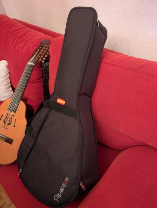 Laúd Raimundo "modelo 25" con funda Ortola.